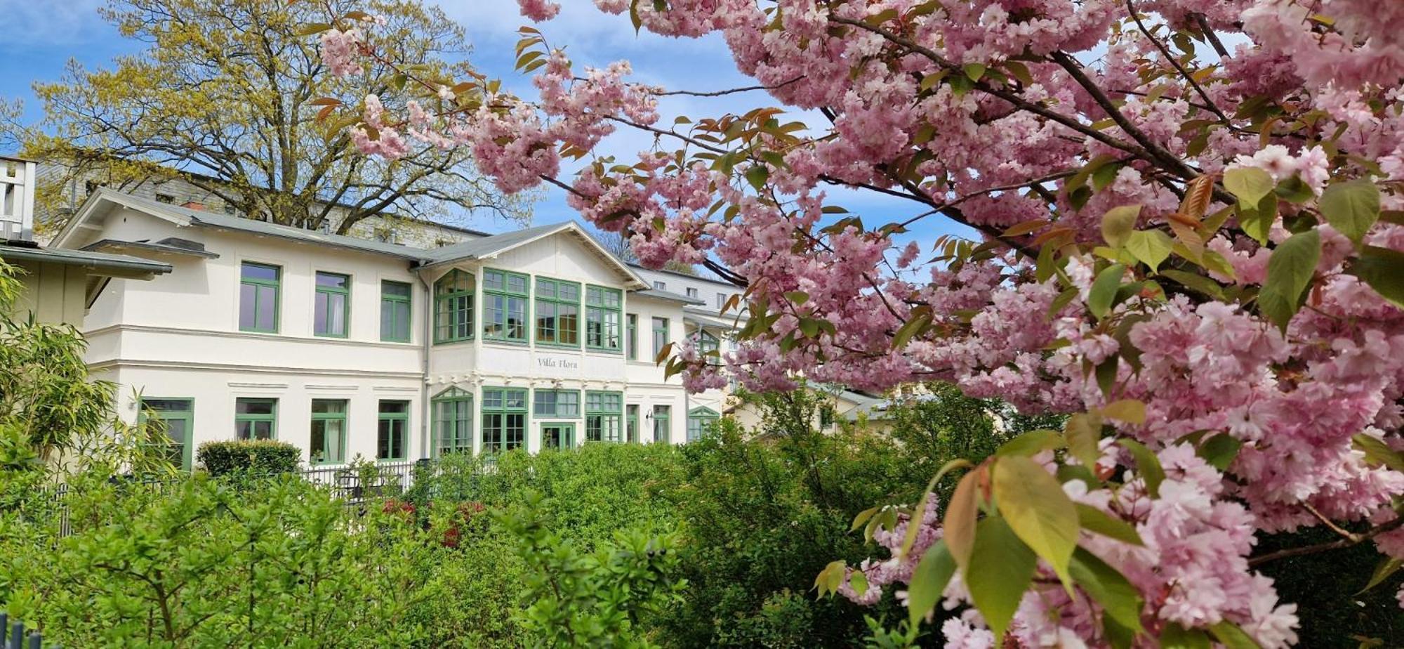 Villa Flora เฮริงสดอร์ฟ ภายนอก รูปภาพ